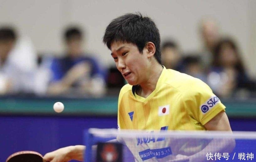 这也体现了 这也体现了