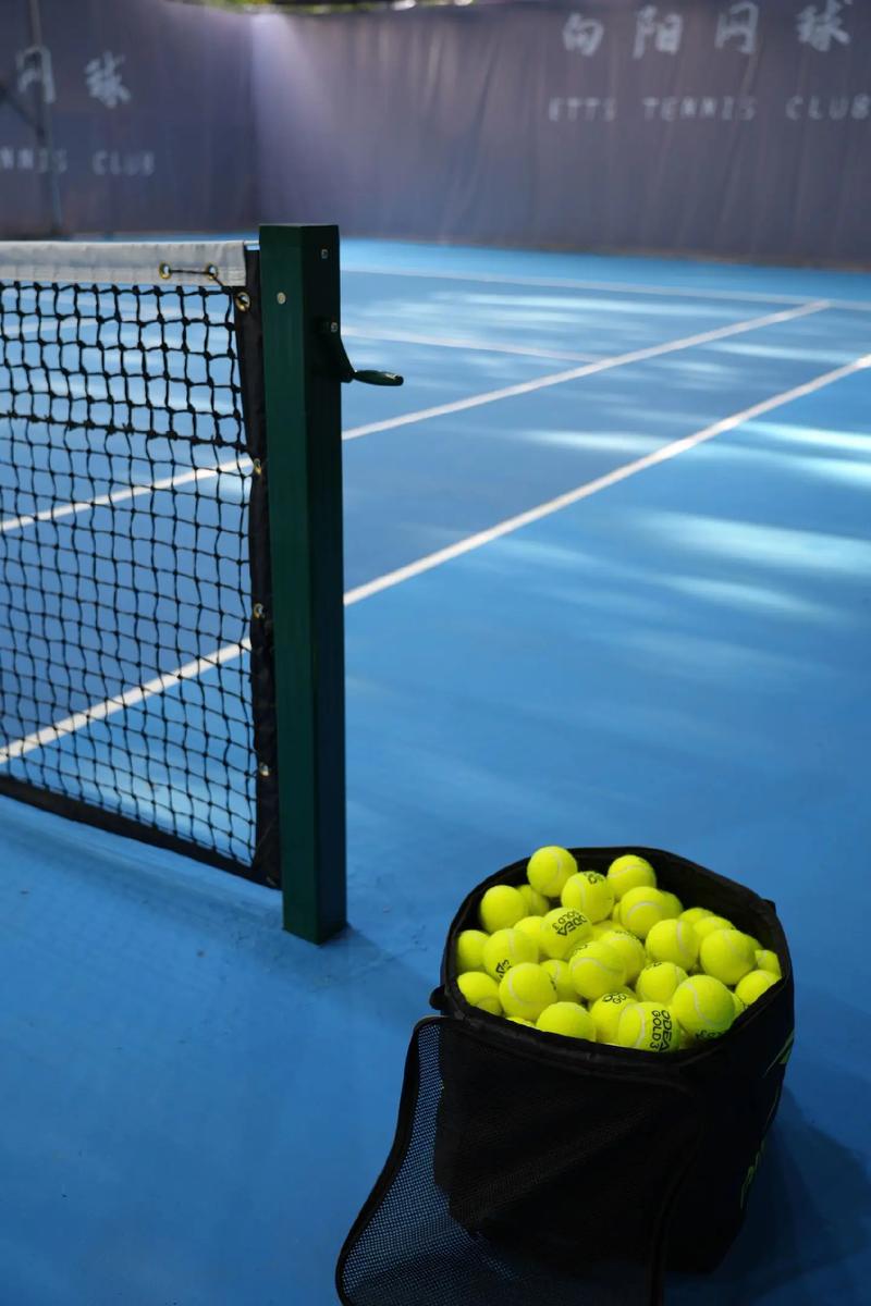 LPGA墨西哥公开赛珍妮裴领跑第三轮 张雅惠升到T2